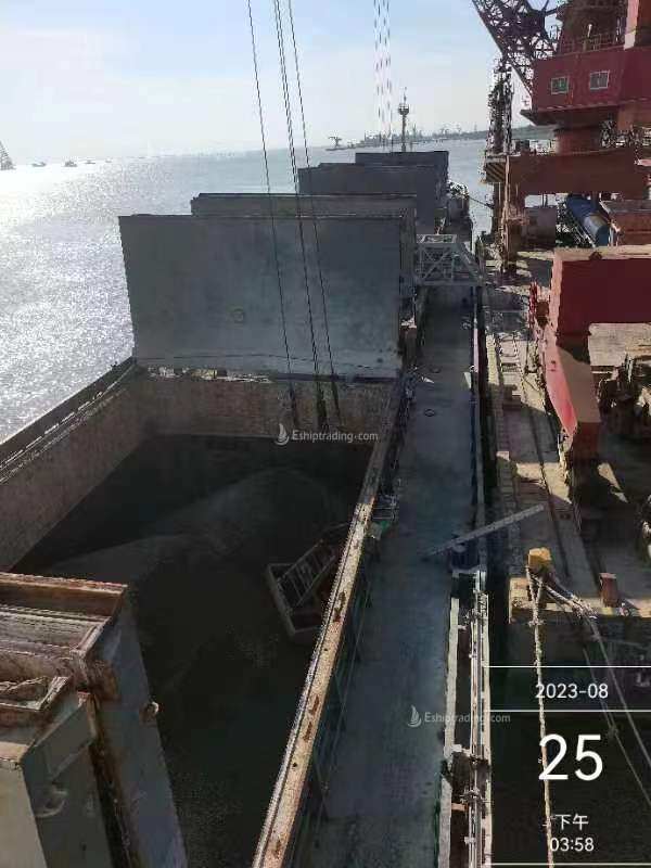 11766 T Bulk Carrier For Sale