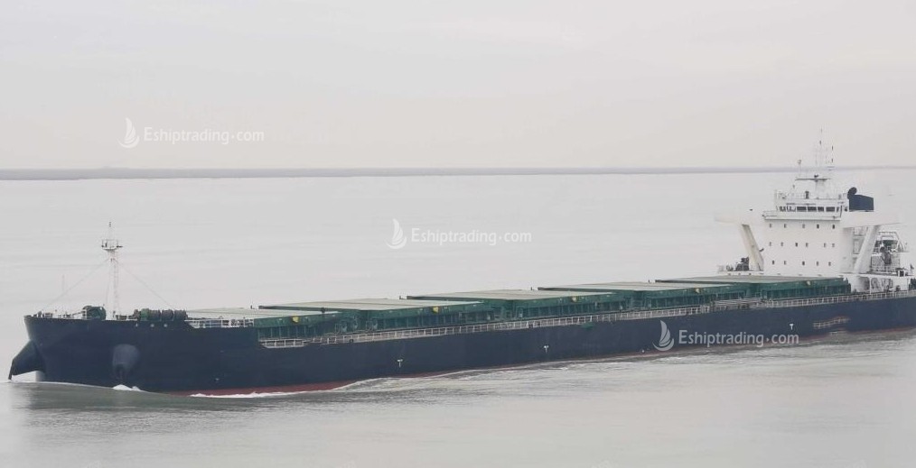 61100 T Bulk Carrier For Sale