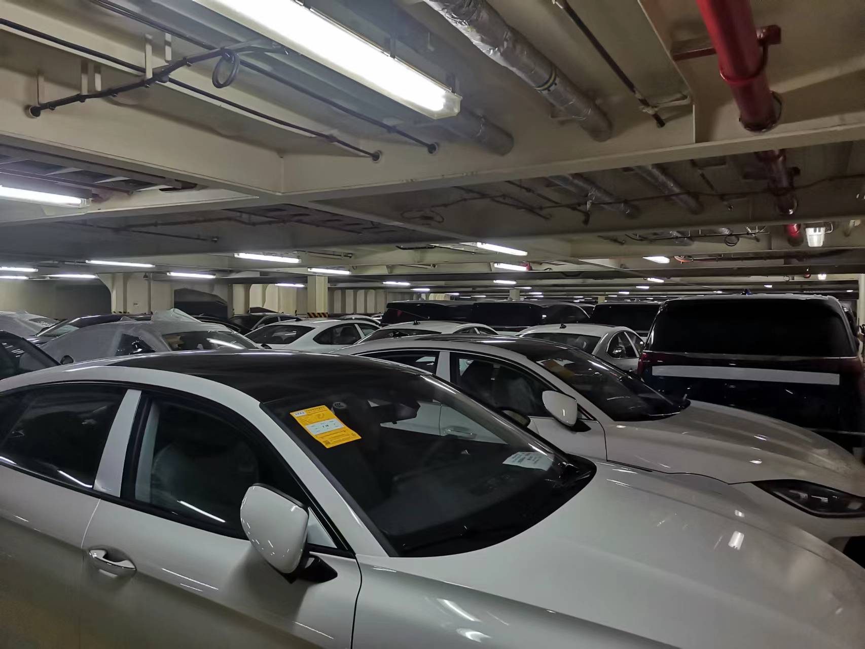 出售583辆轿车滚装船