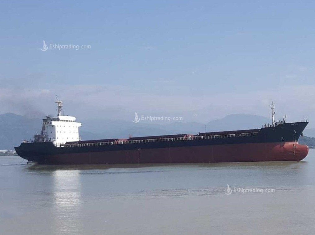 13366 T Bulk Carrier For Sale
