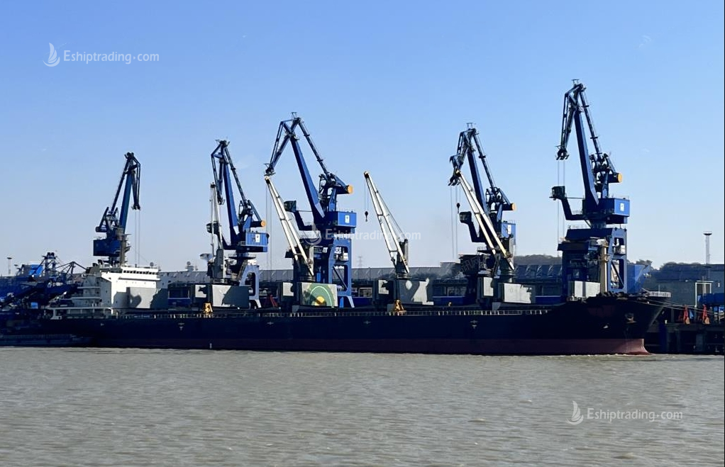 53000 T Bulk Carrier For Sale