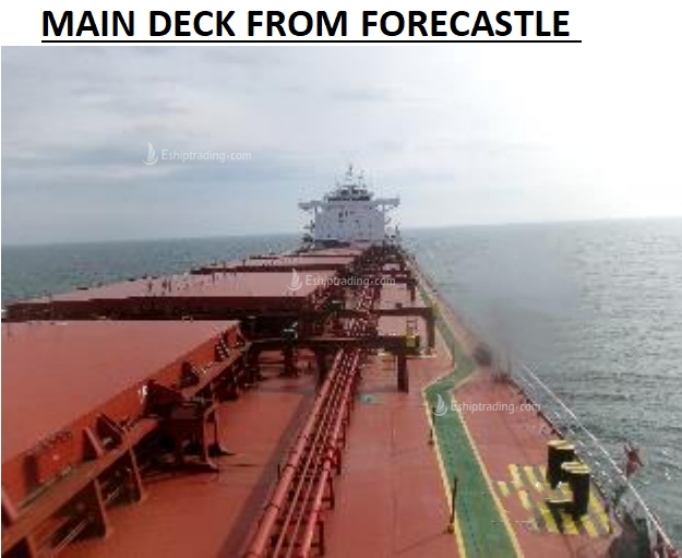 81000 T Bulk Carrier For Sale