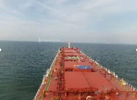 81000 T Bulk Carrier For Sale