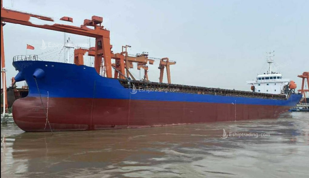 11060 T Bulk Carrier For Sale