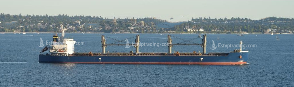 55818 T Bulk Carrier For Sale