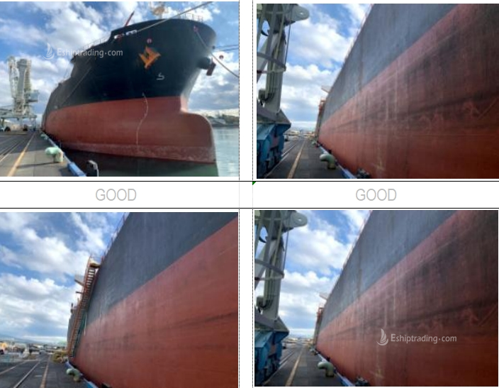 55650 T Bulk Carrier For Sale