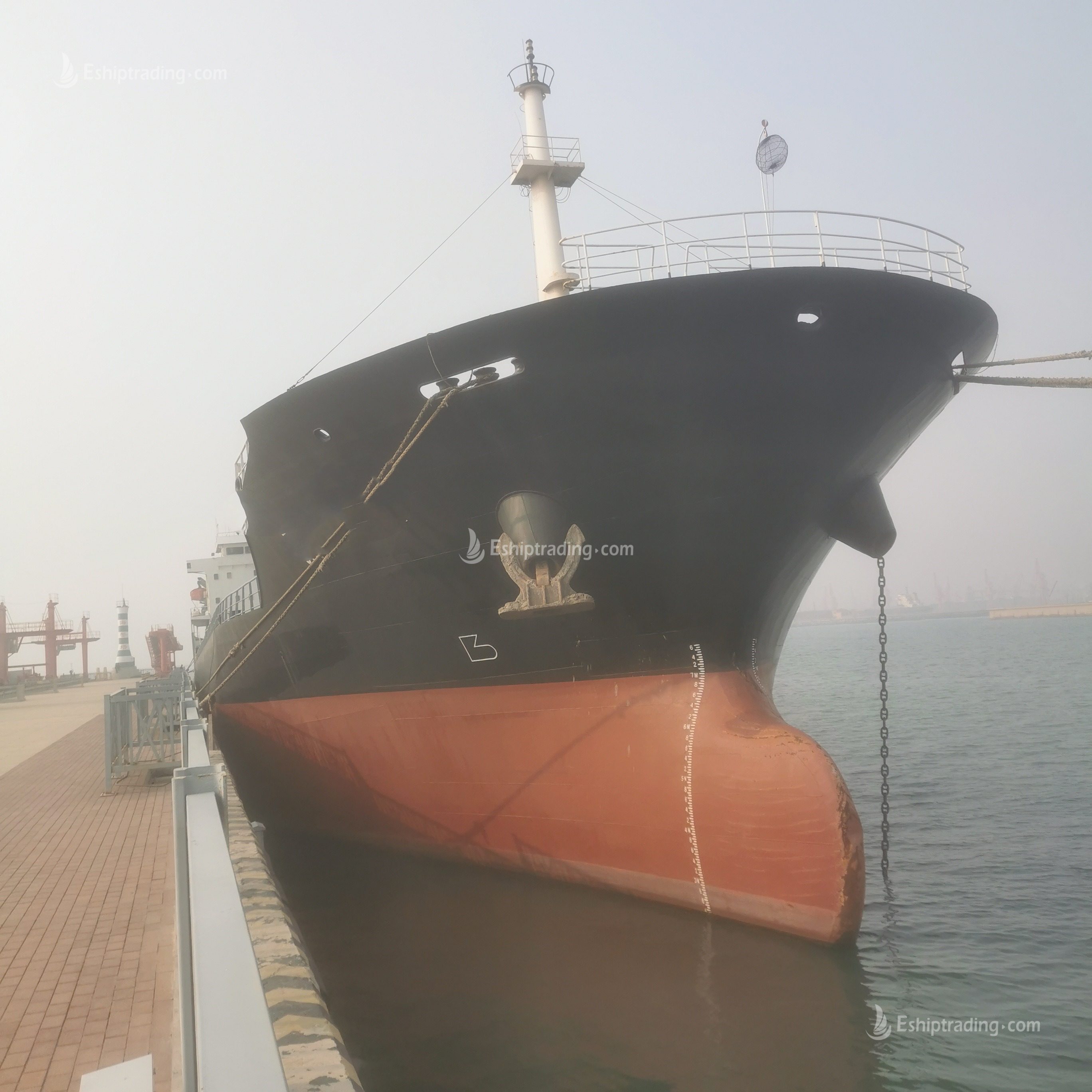 10778 T Bulk Carrier For Sale