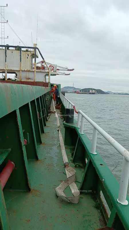 290 TEU Container For Sale