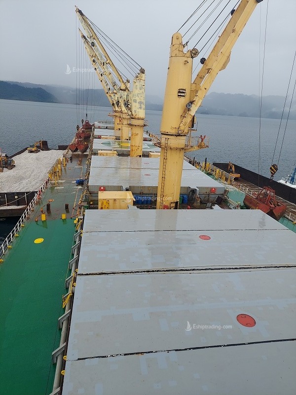 55500 T Bulk Carrier For Sale