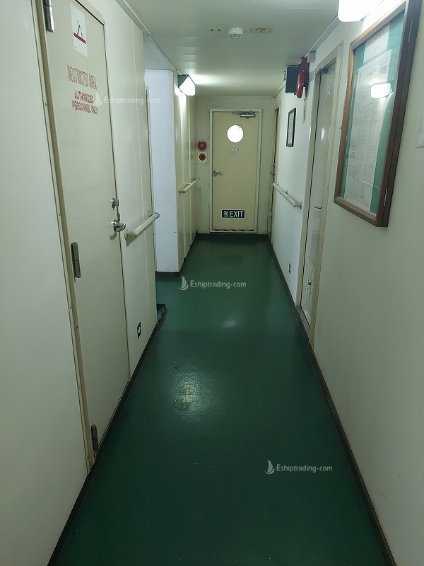 55500 T Bulk Carrier For Sale