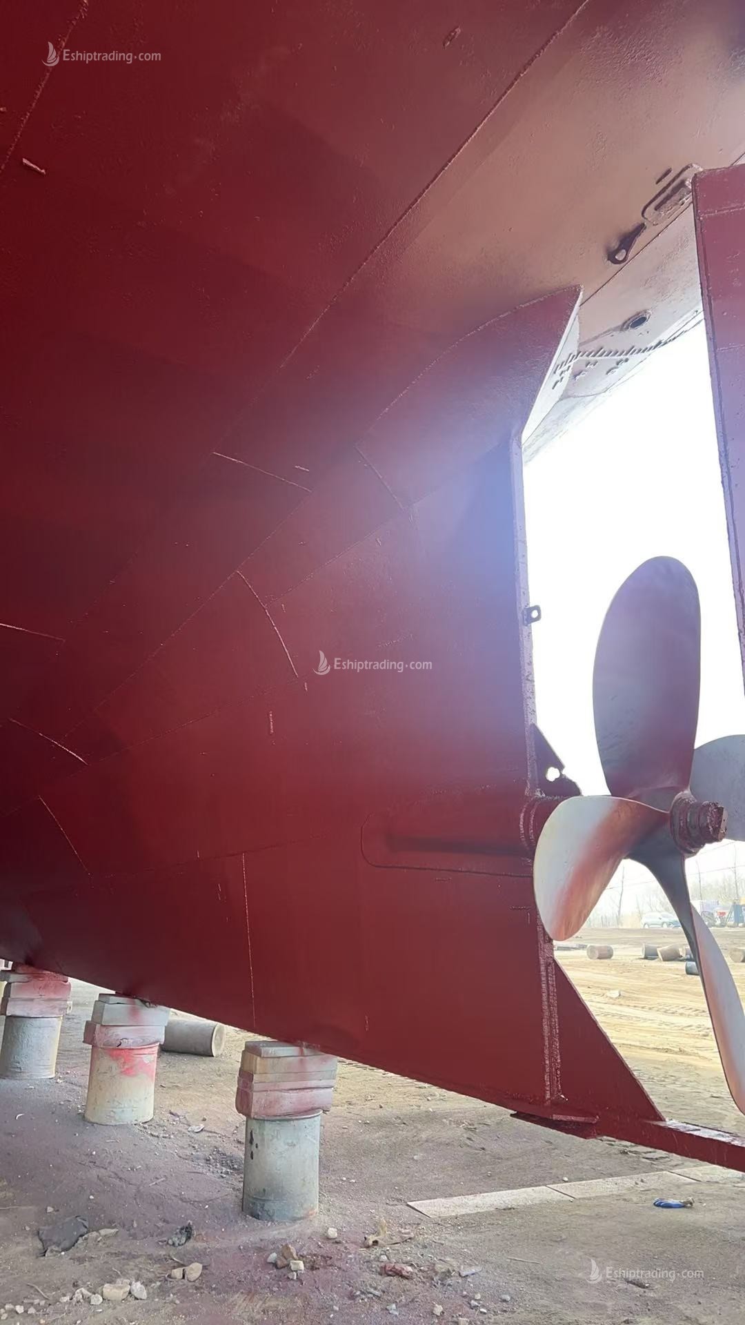 273 TEU Container Ship For Sale