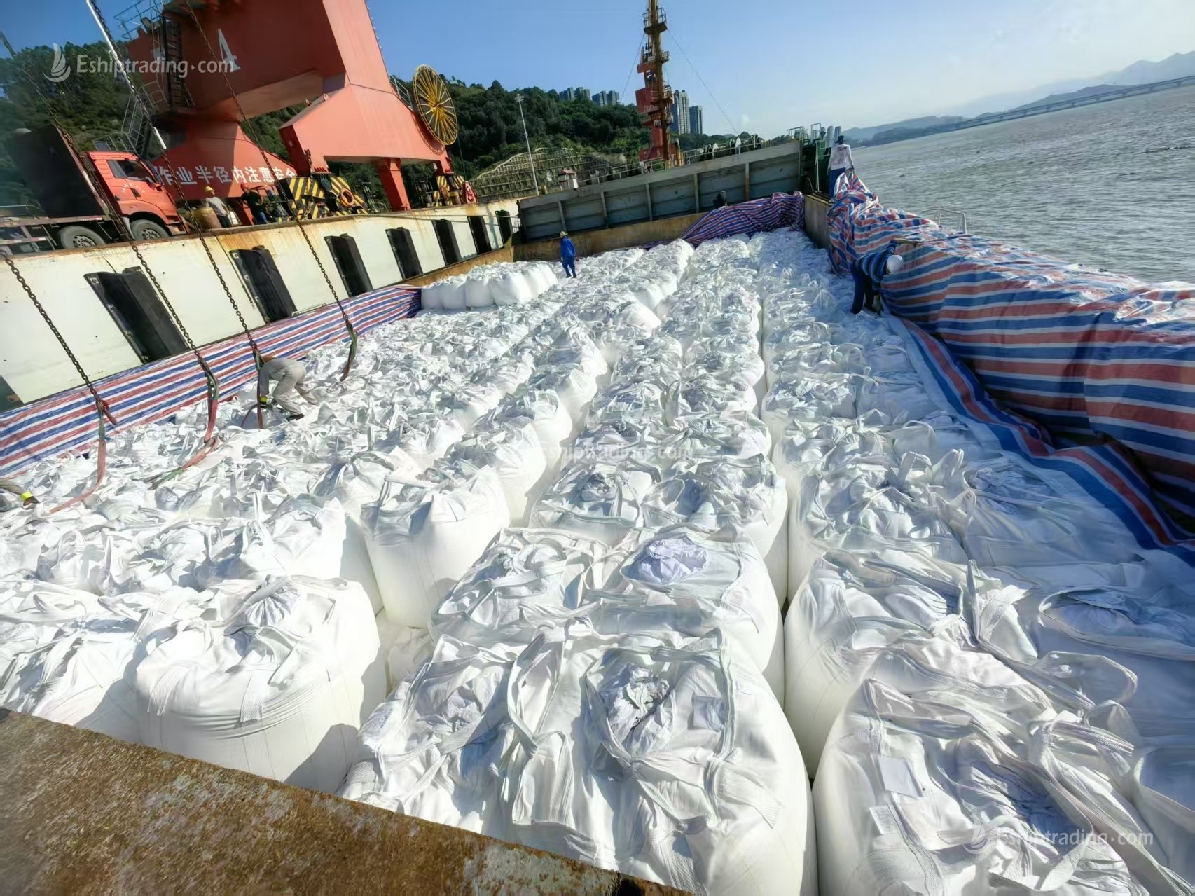 11750 T Bulk Carrier For Sale