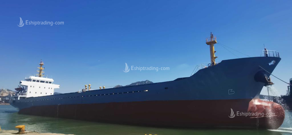 5051 T Bulk Carrier For Sale