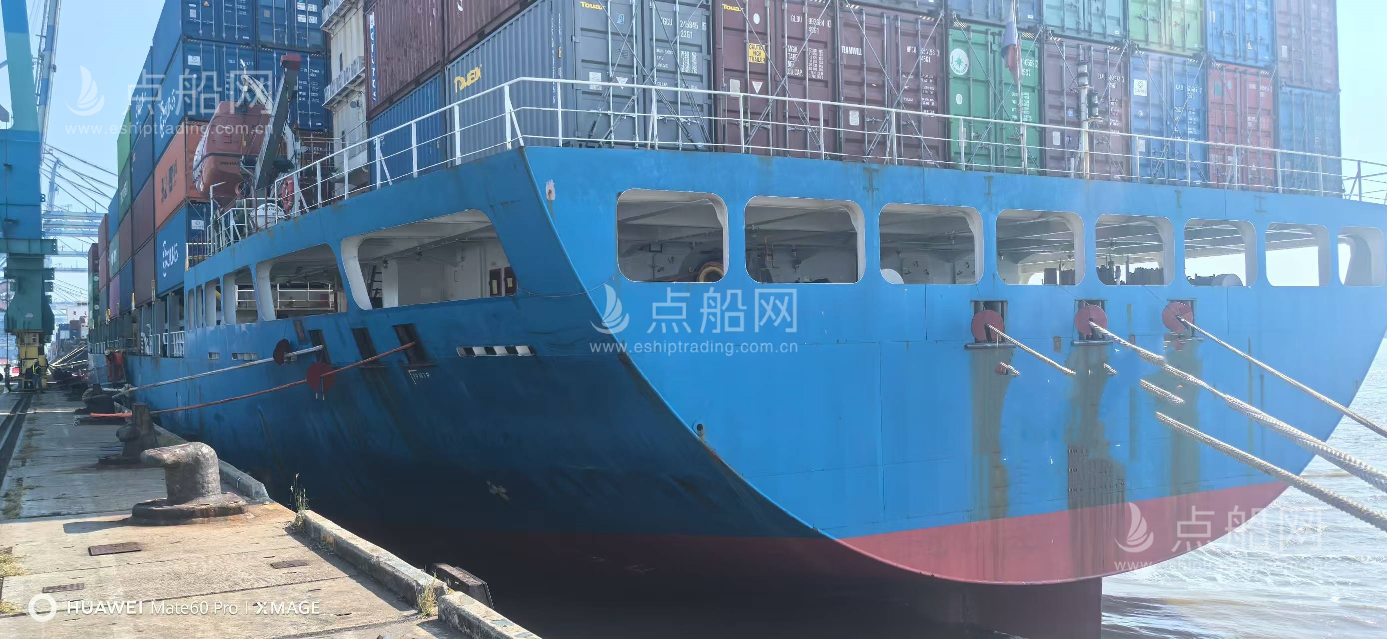 出售1354箱集装箱船