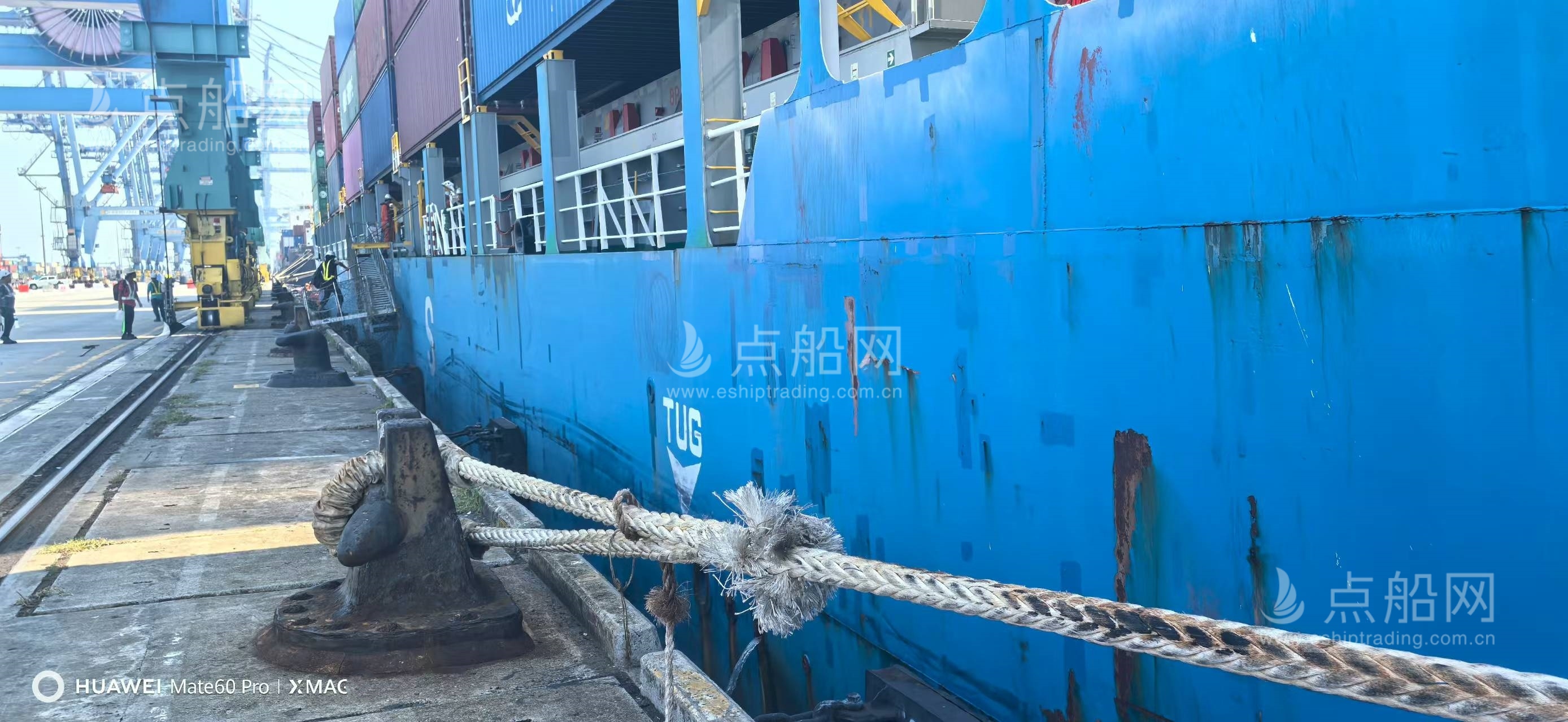 出售1354箱集装箱船