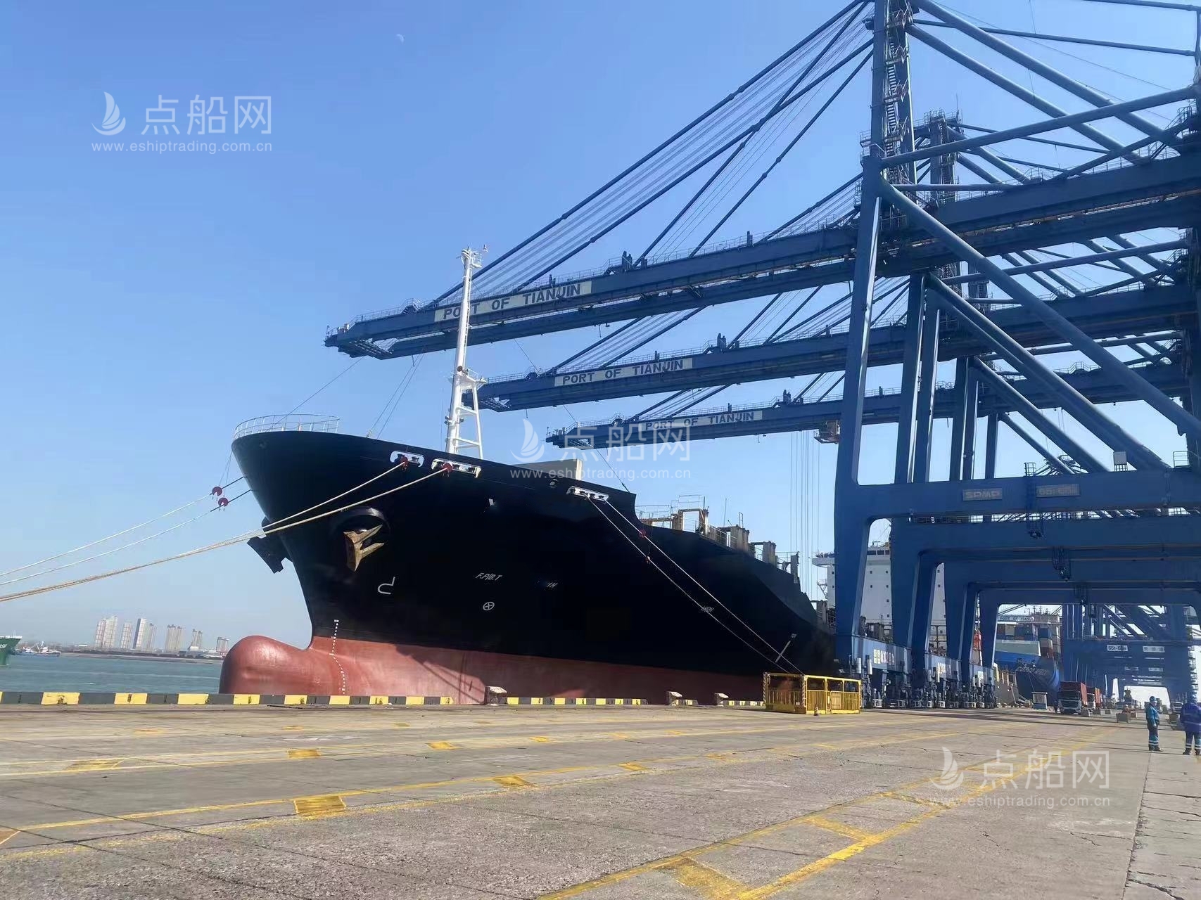 出售2553箱集装箱船