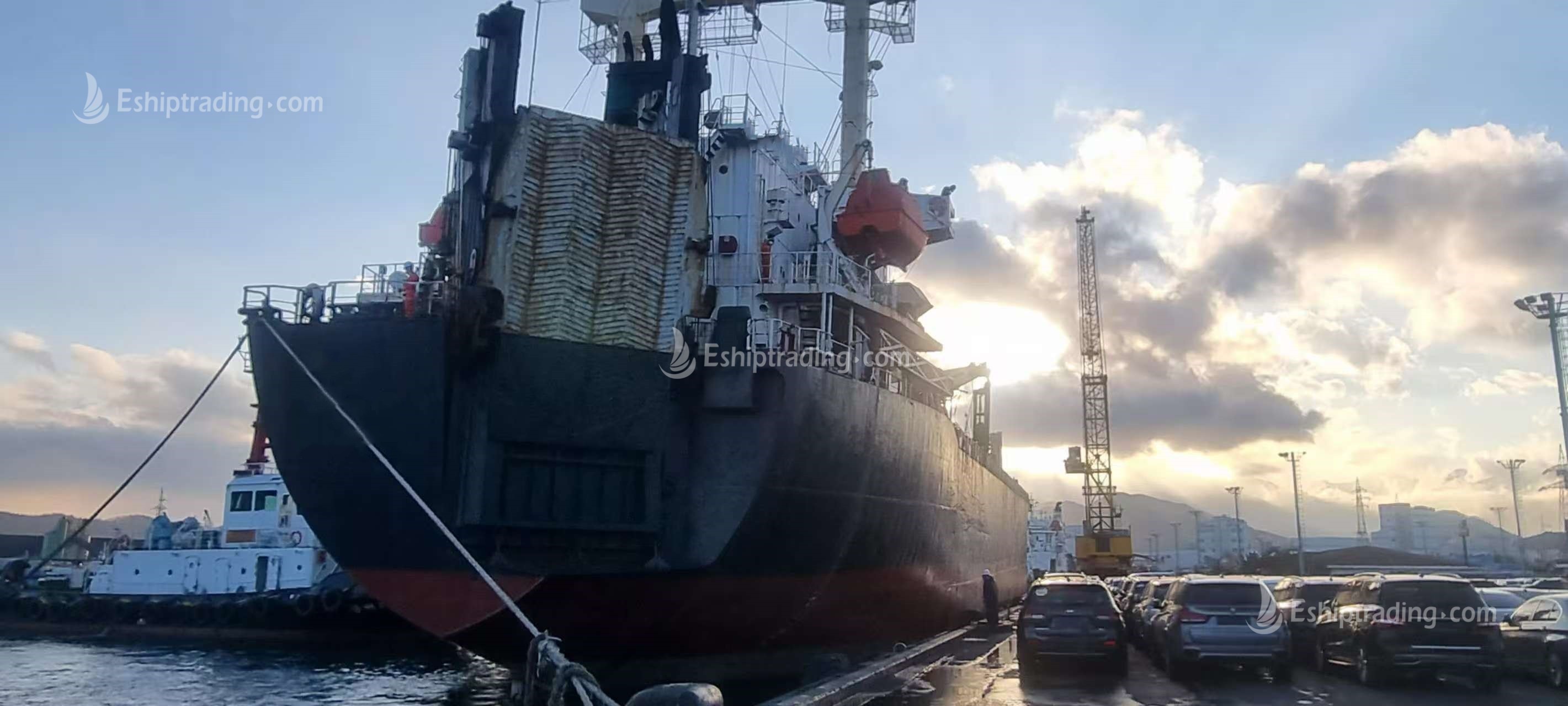 11495 T General Cargo Ship For Sale