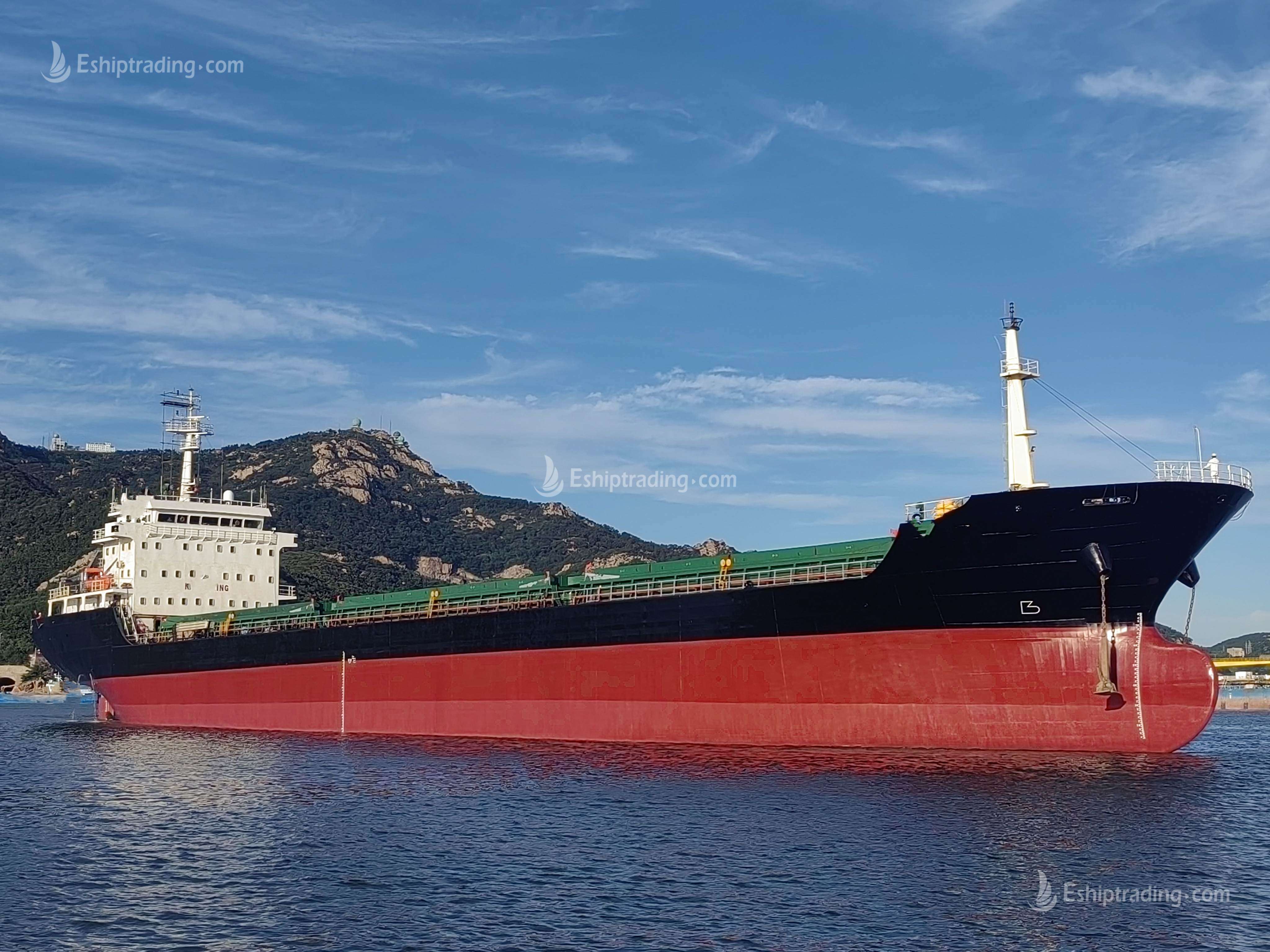 11065 T Bulk Carrier For Sale