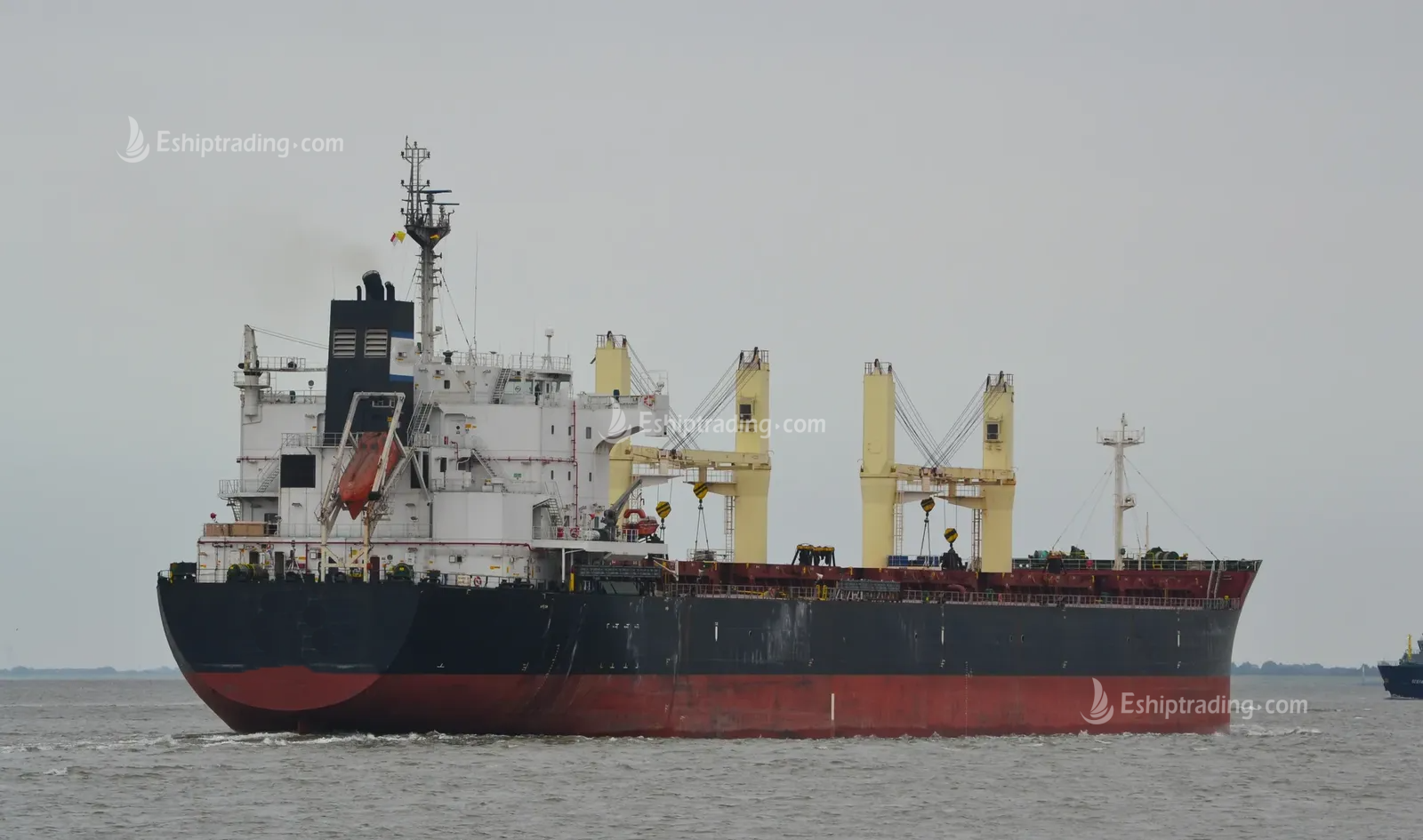 57600 T Bulk Carrier For Sale
