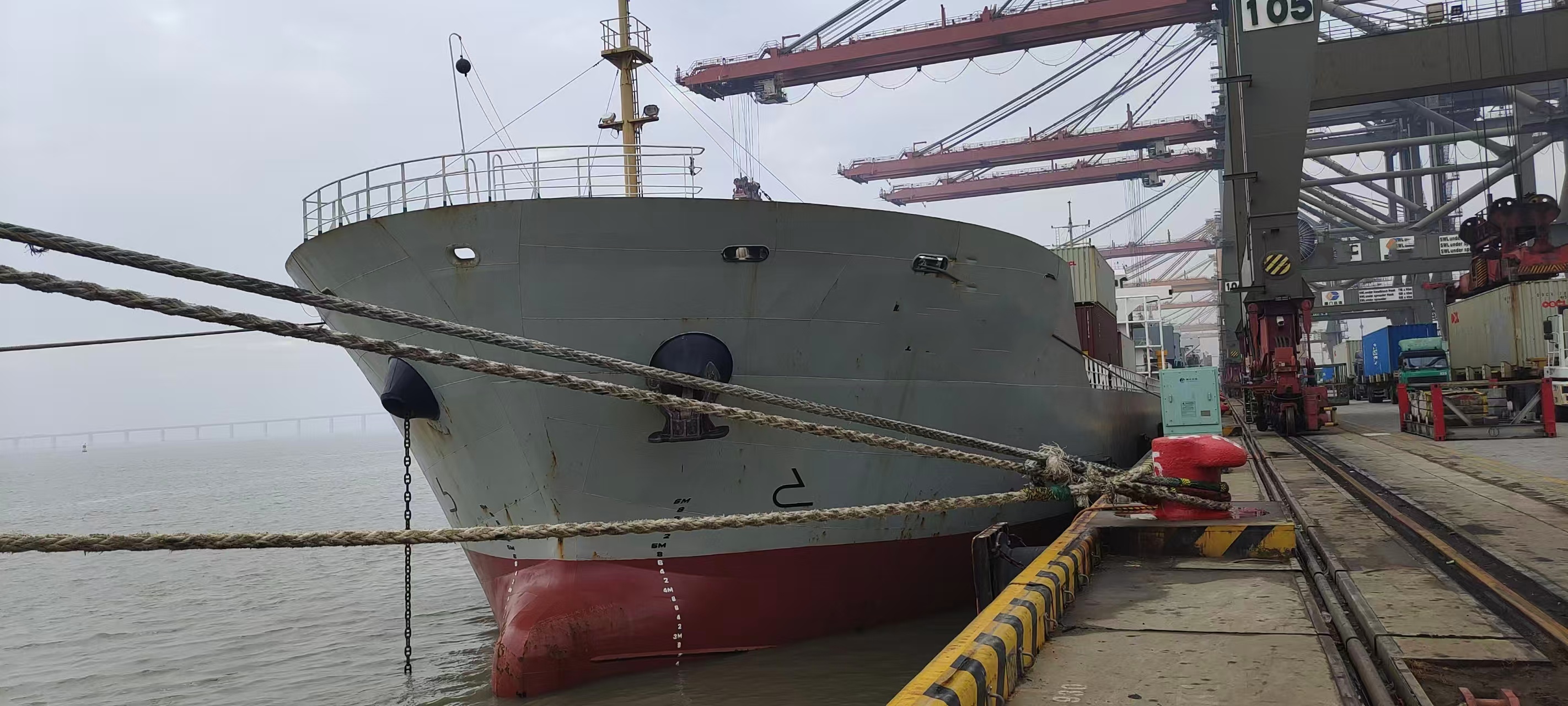 出售480箱集装箱船