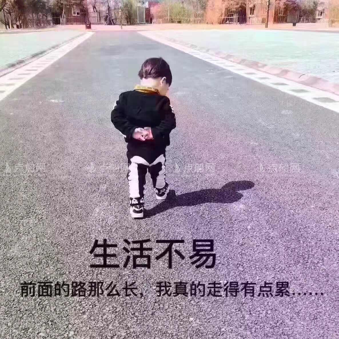 出售11吨冷藏船