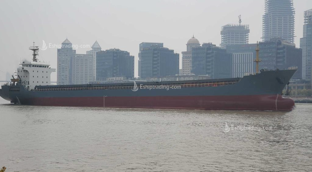 13313 T Bulk Carrier For Sale