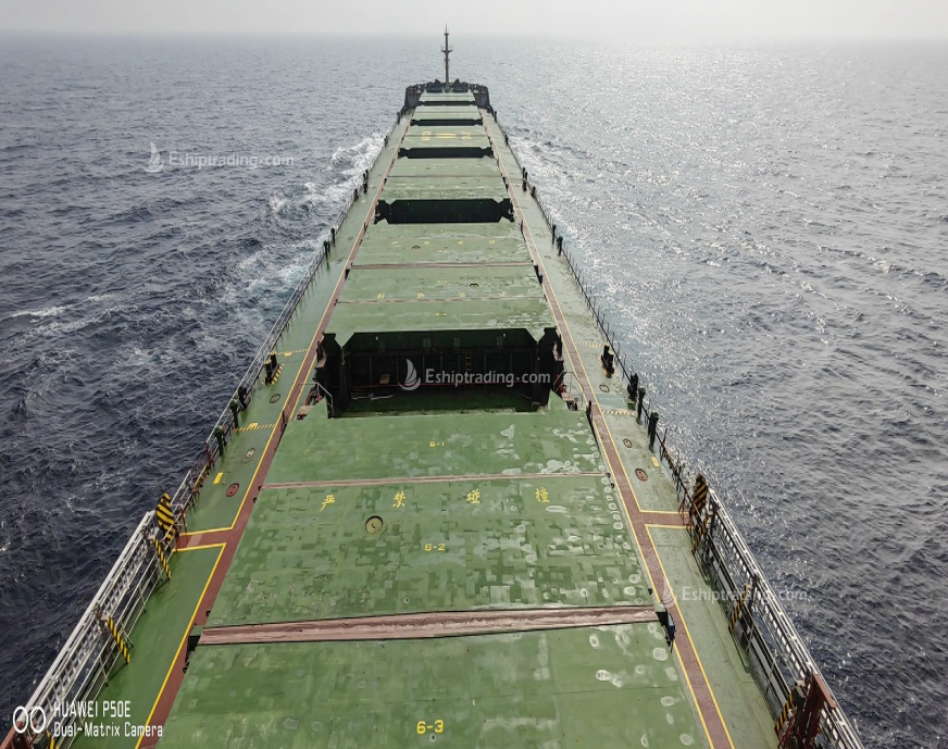 69385 T Bulk Carrier For Sale
