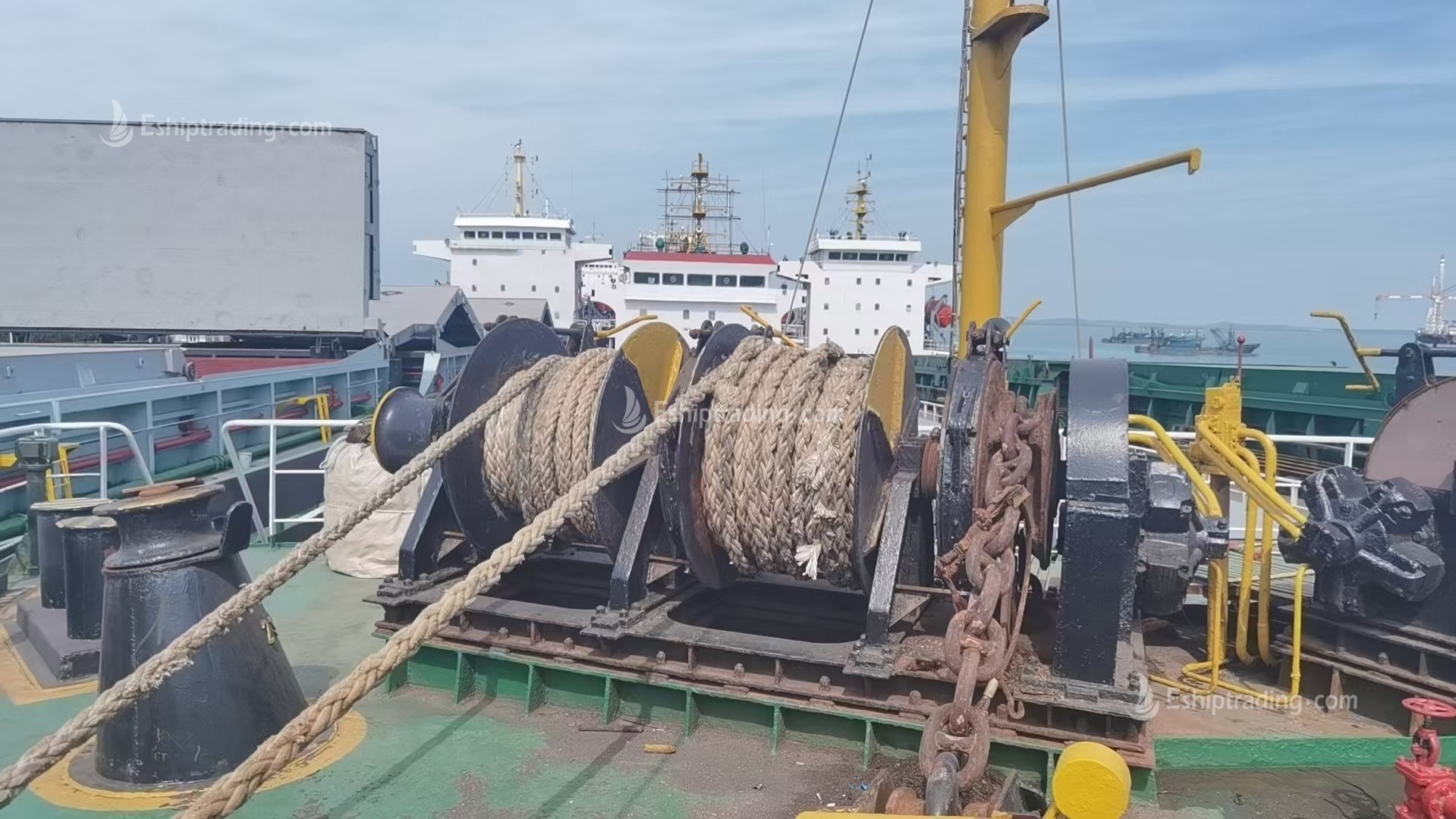 5630 T Bulk Carrier For Sale
