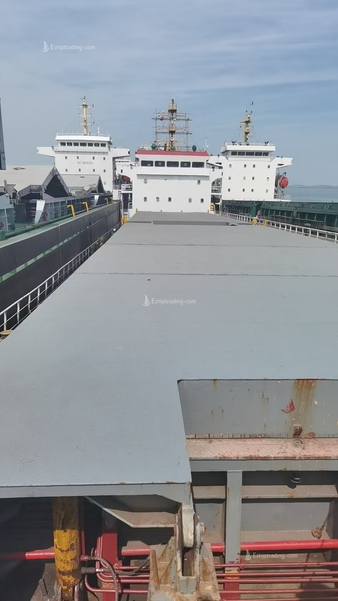 5630 T Bulk Carrier For Sale