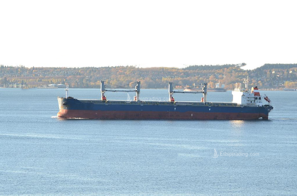 56969 T Bulk Carrier For Sale