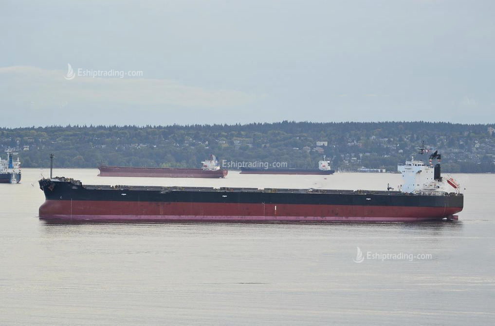 82100 T Bulk Carrier For Sale