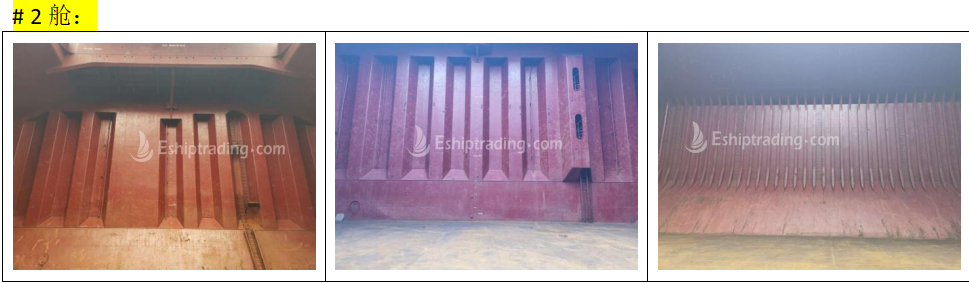 56532 T Bulk Carrier For Sale