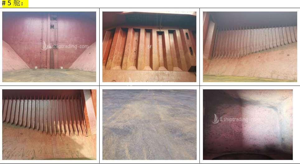 56532 T Bulk Carrier For Sale