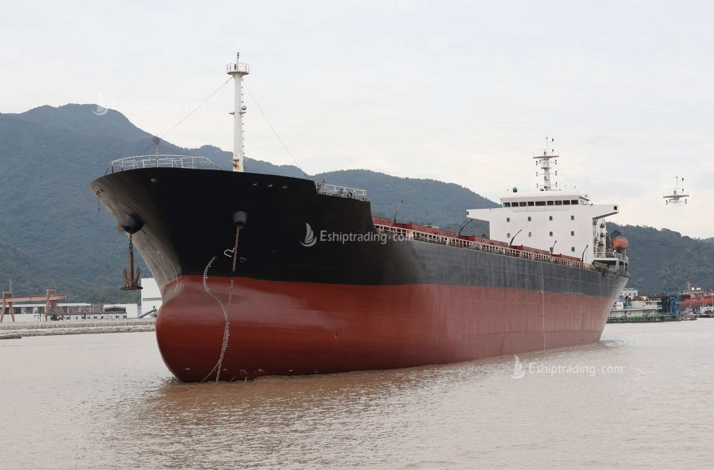 31010 T Bulk Carrier For Sale