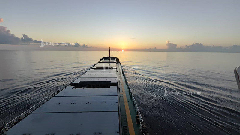 20278 T Bulk Carrier For Sale
