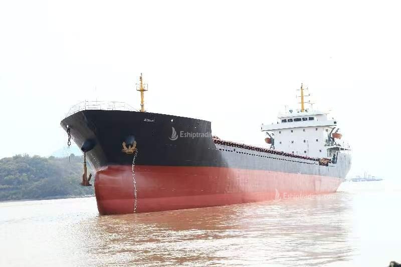 10124 T Bulk Carrier For Sale