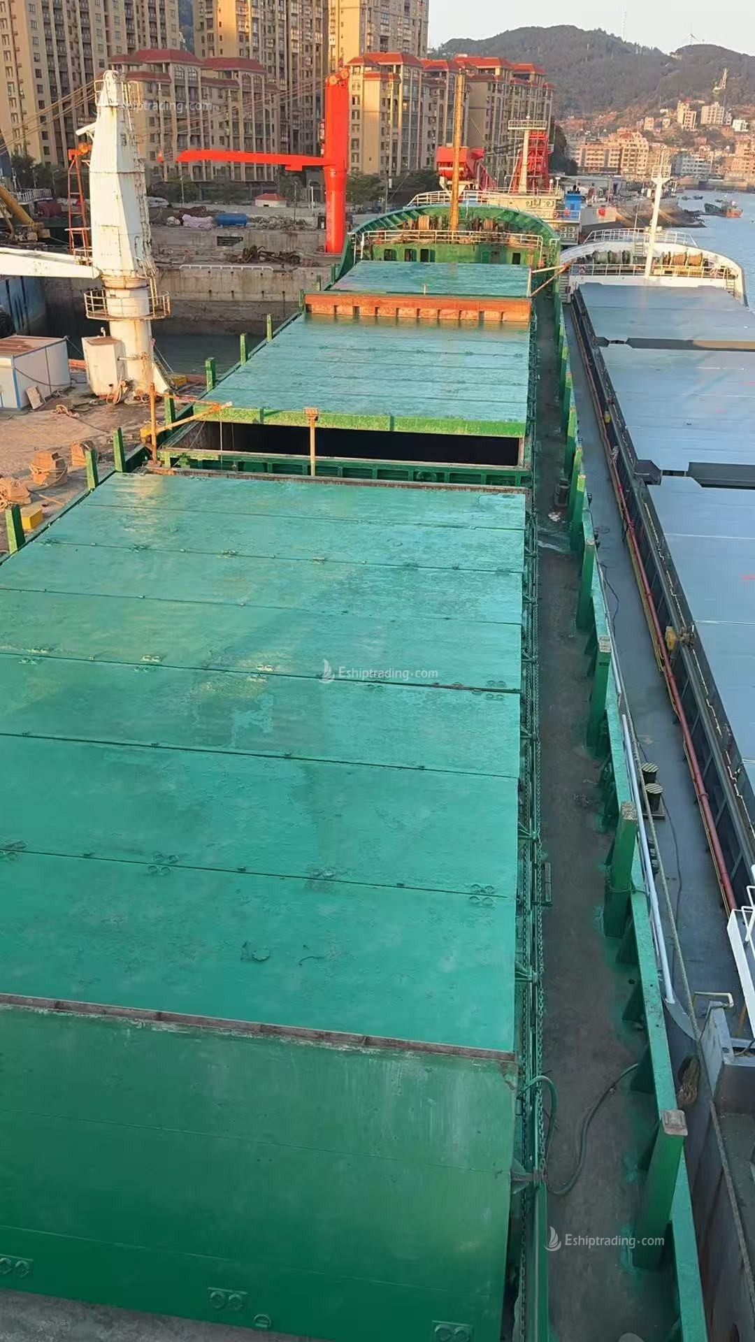 10007 T Bulk Carrier For Sale