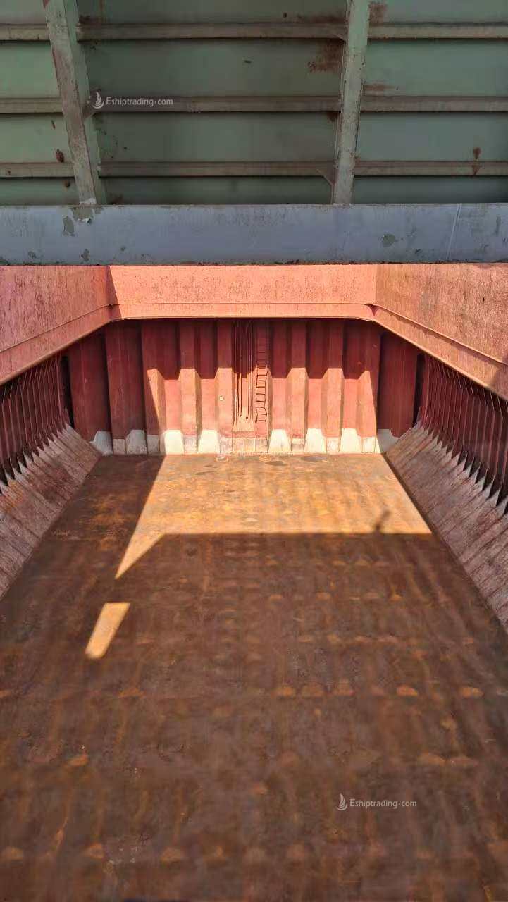 5630 T Bulk Carrier For Sale